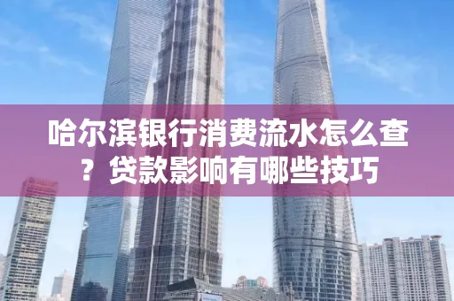 哈尔滨银行消费流水怎么查?贷款影响有哪些技巧
